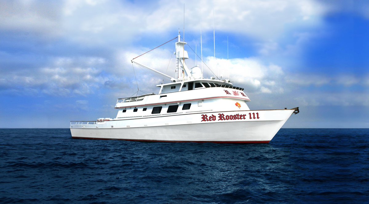 H&M Landing tweet media