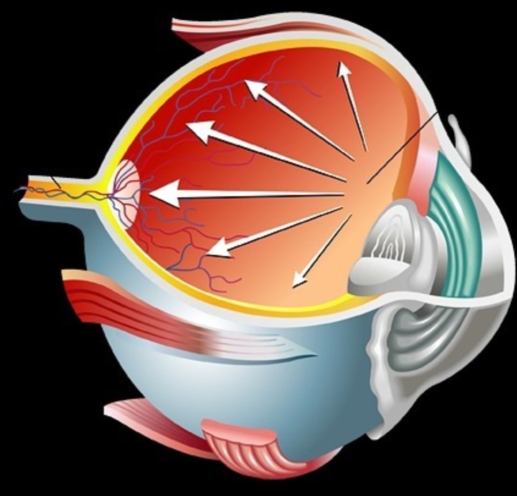 #Glaucoma - INTRODUCING SIMPLE GLAUCOMA SCREENING DEVICE
tonometerdiaton.com/2019/12/introd…

#tonometer #tonometry #optometry #ophthalmology #glaucomatest #glaucomaexam #glaucomascreening