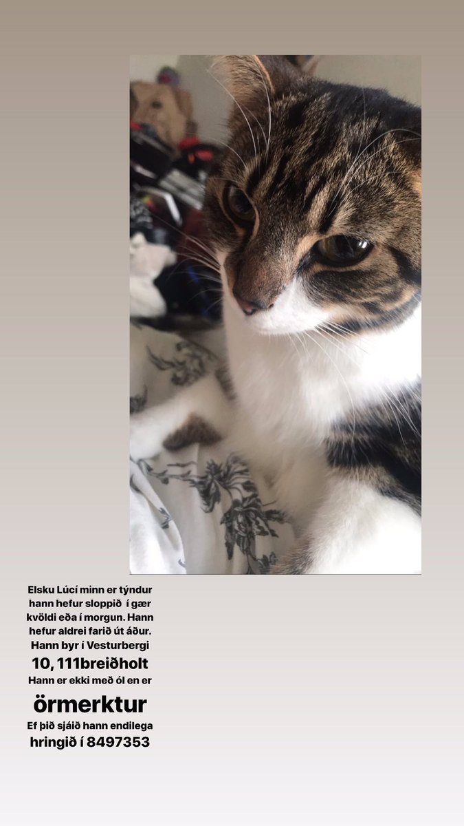 agnesj132's tweet photo. Ef þið sjáið hann værum við svo þakklát að fá símtal 💔 https://t.co/Sx6sSXFjwy