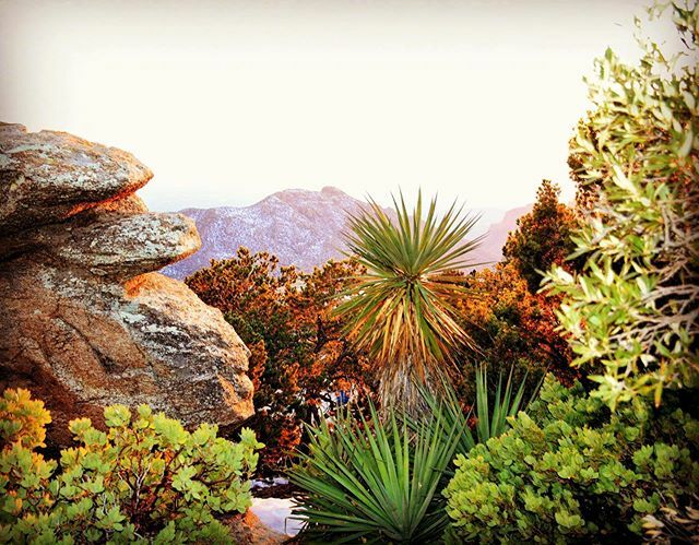 ConradDeWitt2's tweet photo. Dust of light snow ❄️ in the desert 🌵 .
.
.
#tucson #mountains #desert #arizona #travel #az #arizona_landscapes #winter #foliage #usa #mountains #rocks https://t.co/YFDL2vU8i0 https://t.co/EqA4QNs0T2