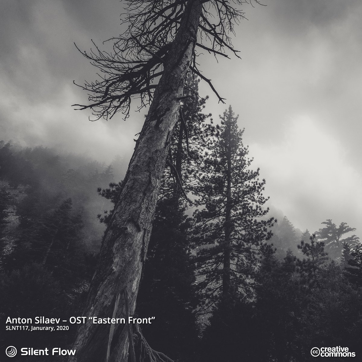 Silent Flow Label tweet media