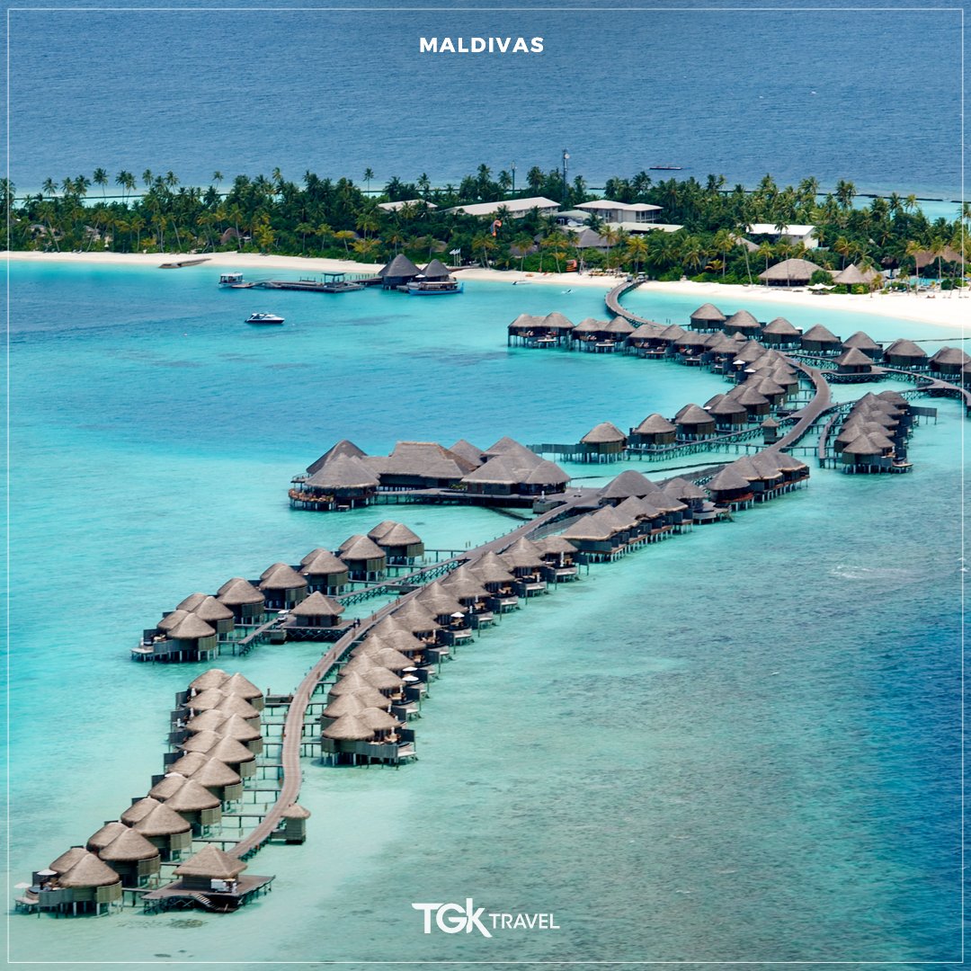 TGKTravel's tweet photo. O que para muitos é um sonho agora pode se tornar realidade para você!
TARIFAS AÉREAS IMPERDÍVEIS DA QATAR – VOOS PARA #MALDIVAS A PARTIR DE U$D 626

Fale com os nossos consultores e consulte mais promoções e condições de resorts all inclusive: https://t.co/c073ERSSvi

#passagens https://t.co/4m4k3AovWe