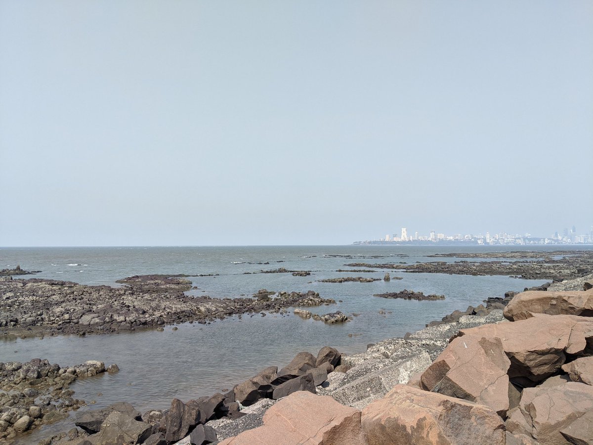 alicezocchi's tweet photo. Third day of #MODEST20 in sunny Mumbai! Did I mention that the beautiful garden of @TIFRScience ends at the sea? https://t.co/nv8wK3y4u9