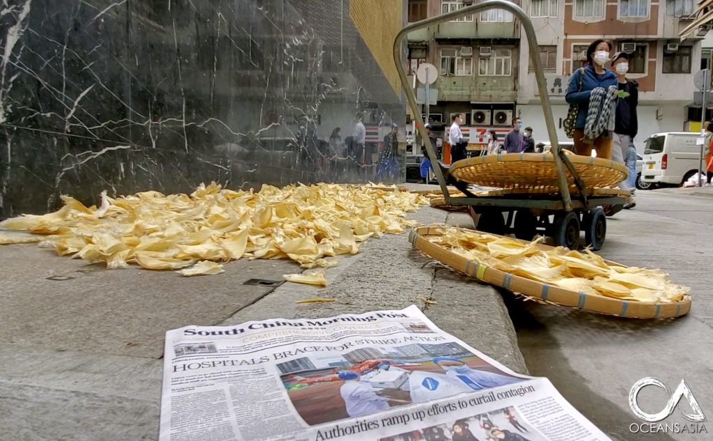 oceansasia1's tweet photo. The hook to plate journey of 'luxury' #seafood products are not only full of #FishCrime, but also not hygienic!
Here is some shark fins drying on the #HongKong pavement during #coronaviruswuhan!
#GutterFood #Coronaviruschina
https://t.co/SUtBN6CFQA https://t.co/BQqvtgFgxH