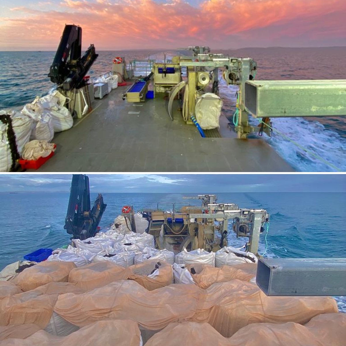 Offshore Shellfish on Twitter: