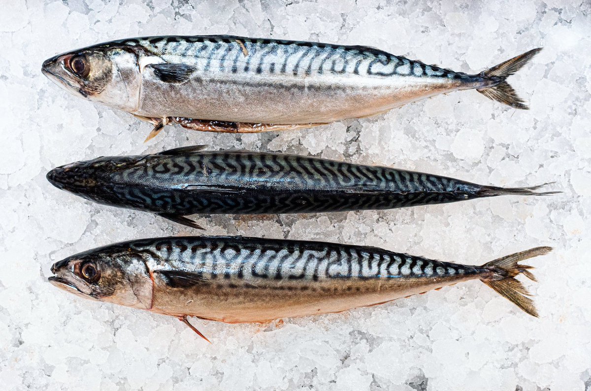 Seven Park Place tweet media