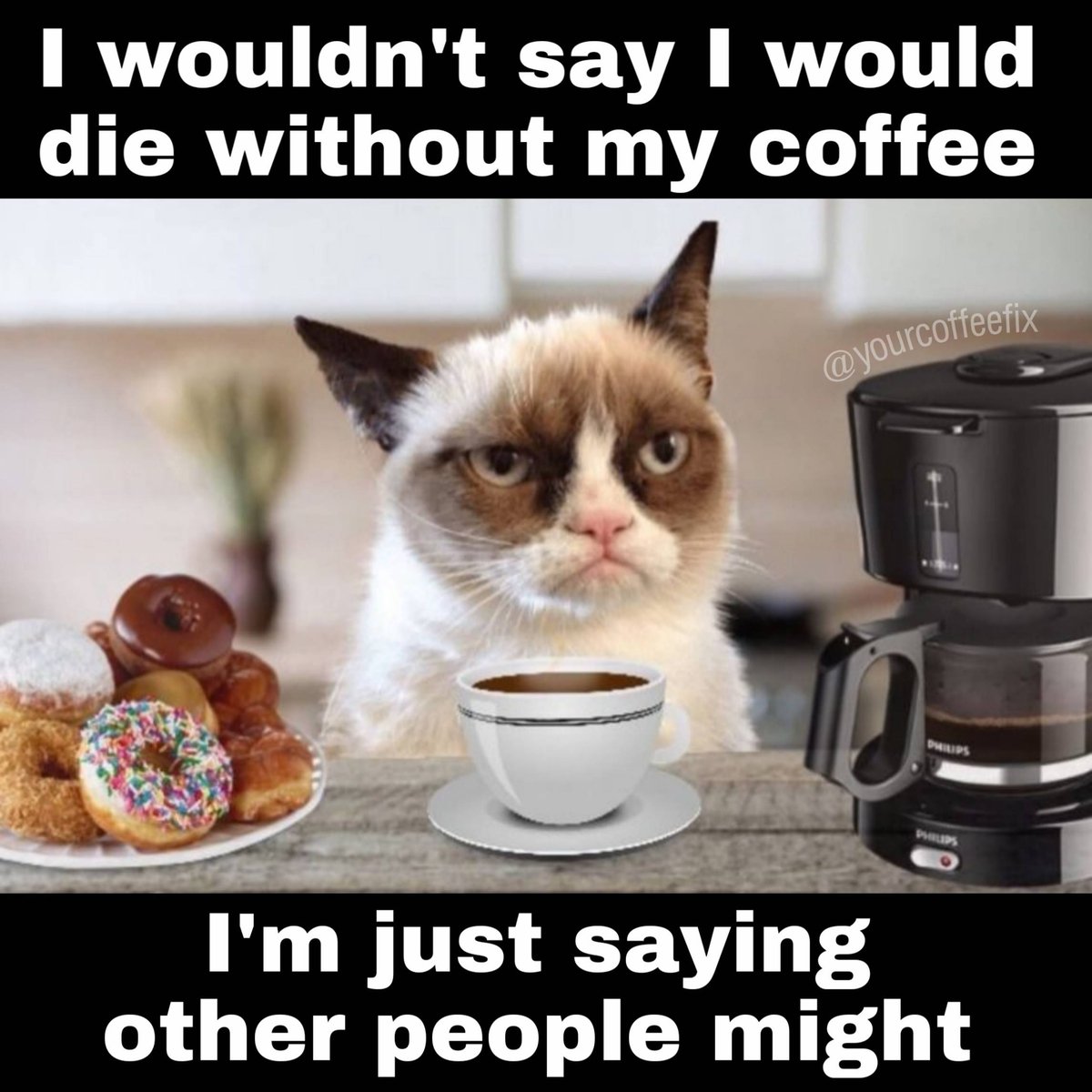 A coffee a day keeps the grumpy away!! 😺 #CoffeeMePlease

#grumpycat #grumpy #coffeeplease #coffeetime #coffeeandfriends #coffeememe #coffeebreak #caffeine #needcoffee #coffeesesh #coffeehumor #barista