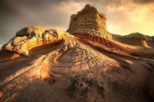 Todd_Frame's tweet photo. Life on Mars
I’m always amazed by the crazy landscapes of the Southwest. I was half expecting Baby Yoda to come walking out. 
Sony A7RIV, 12mm, f/11, ISO 100
. .
.
#sonyalpha #sonya7riv #sonyimages #ig_southwest #instagram_az #fingerprintofgod #southwest… https://t.co/OEEKhEaAnl https://t.co/j1ZgoWAZsV