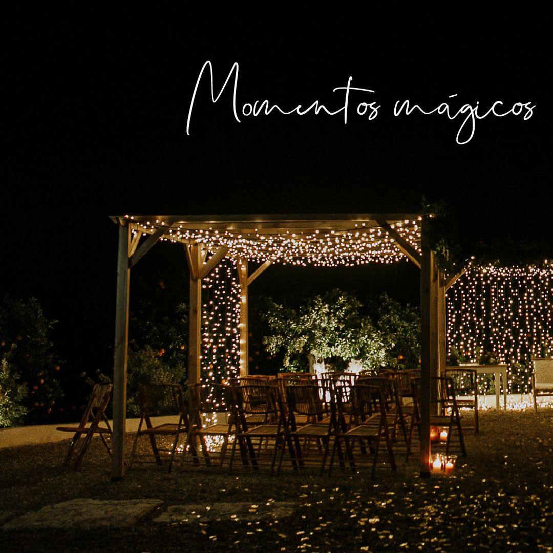 SalsiaVLC's tweet photo. La boda de C&amp;J fue pura magia. Con esta iluminación de película acababan la ceremonia la tarde-noche del último día del año. ¿Se os ocurre un lugar más bonito?
@yabikuweddingphotography @atelierdelaflor @merakiplan @plumasyletras @infinitoeventos
#bodasvalencia #espciosvalencia https://t.co/y8Byrt5ATm