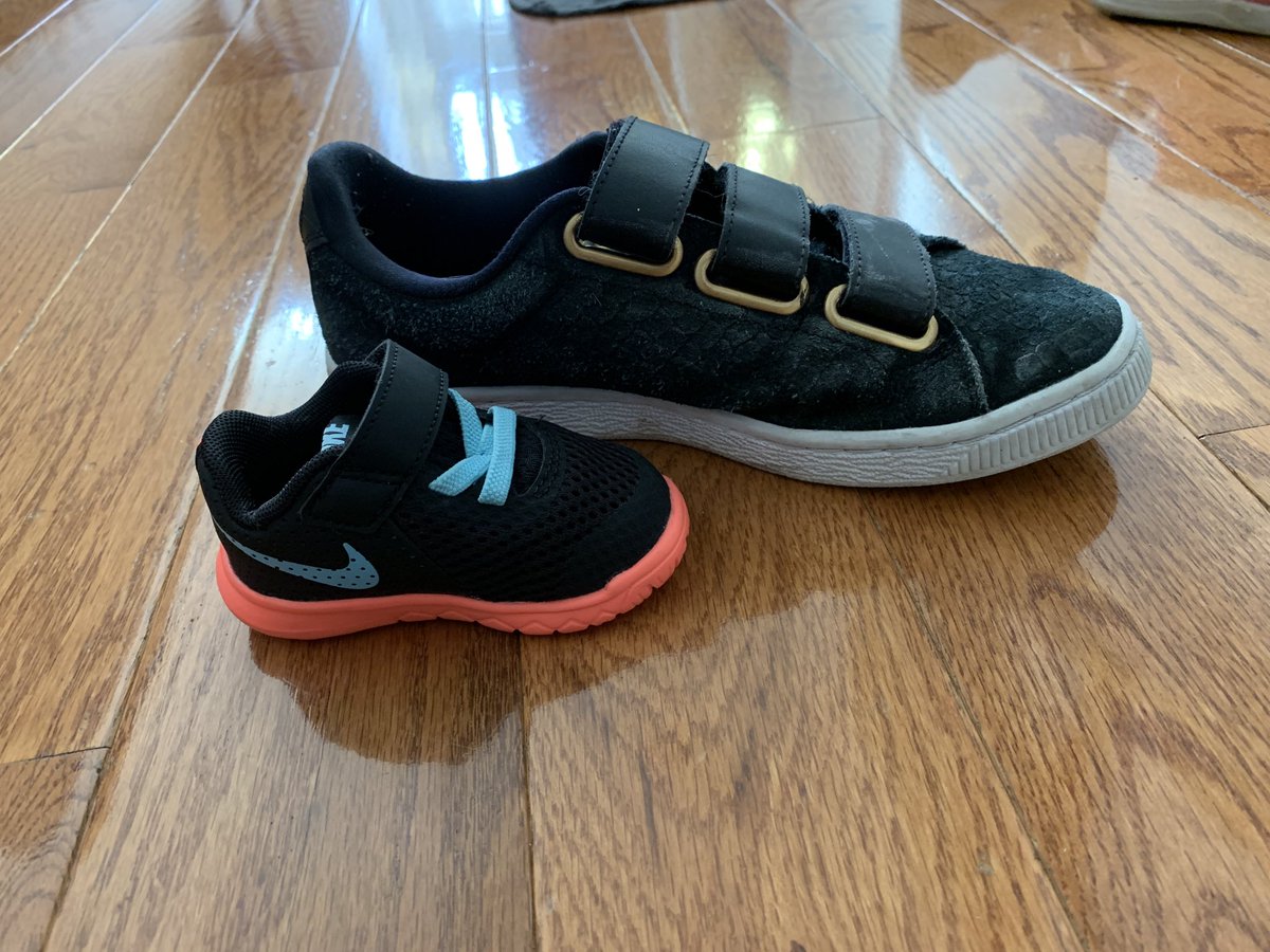 Lis Pfeiffer tweet media