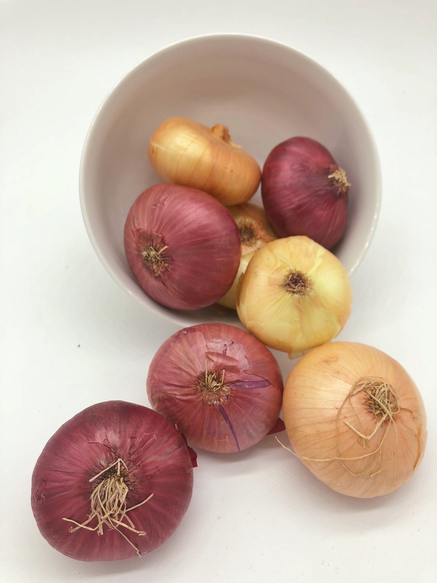 BridgesProduce's tweet image. Now is the time to stock up on organic Cipollinis. These specialty onions come from our grower partner Andersen Organics in Othello, WA.