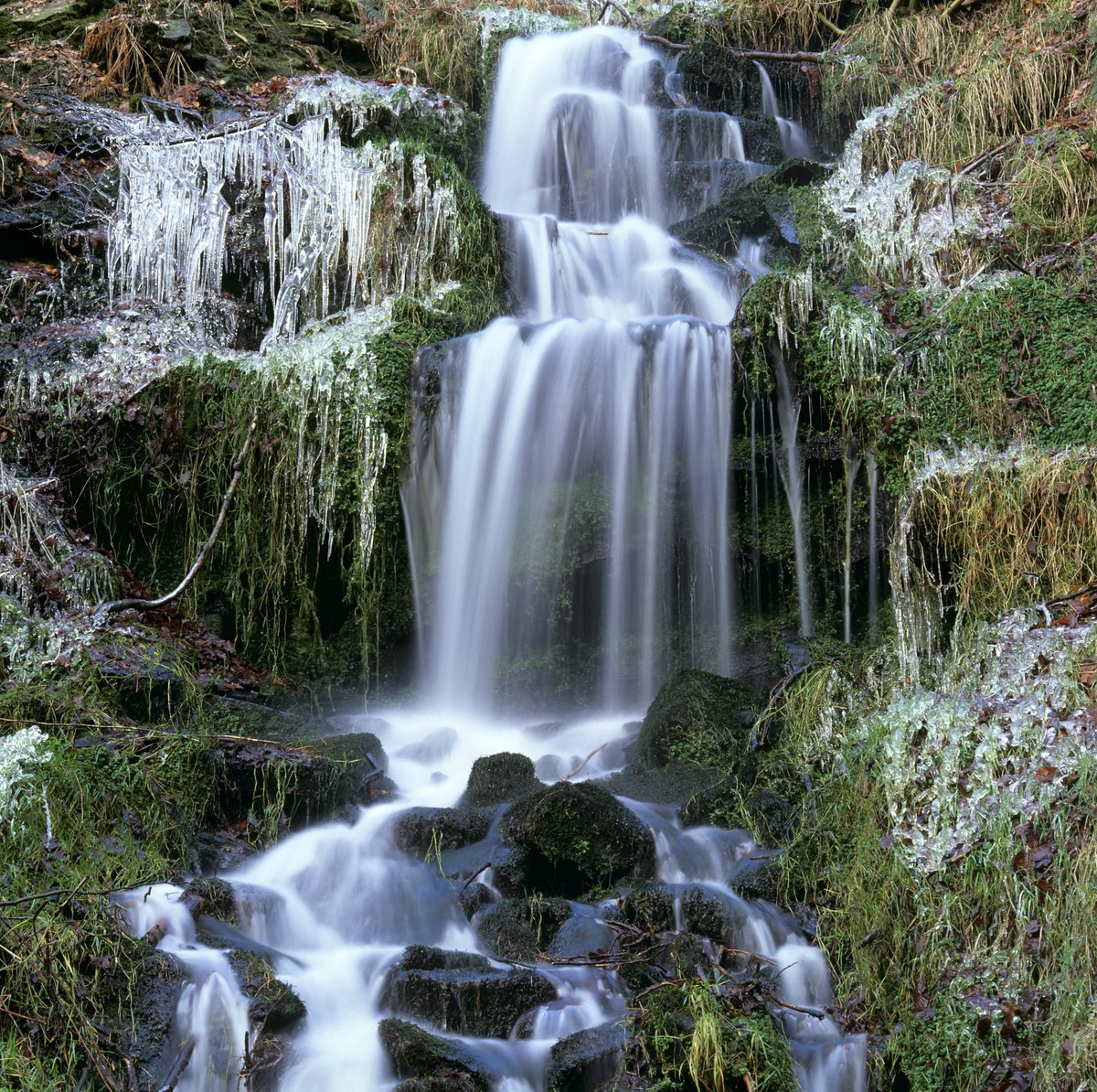 Close up of a waterfall with icicles forming on the surrounding long grass.