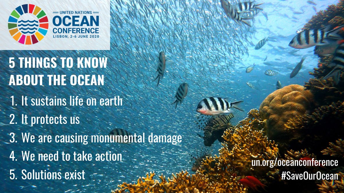 Global Goals on X: 5 things to know about the Ocean 🌊 1️ It sustains life  on earth 2️ It protects us 3️ We are causing monumental damage 4️ We need to