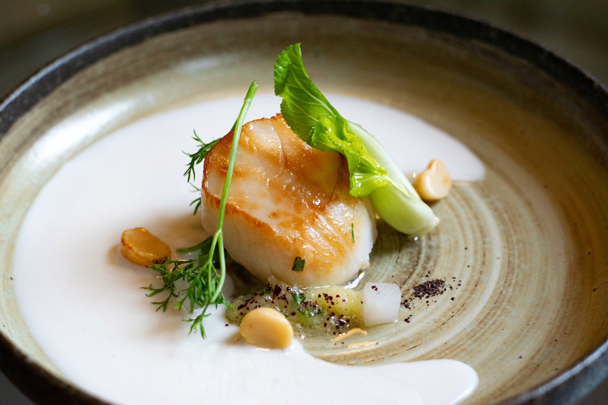Isle of Skye scallop, coconut velouté, macadamia nuts. On the #ValentinesDay menu @texturerestaurant 💕 <a href="/MichelinGuideUK/">The MICHELIN Guide</a> #michelinstar