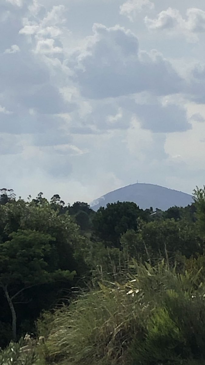 Sigue incendiándose el Pan de Azúcar. La base Capitán Curbelo  esta  a 7 km, tiene  helicóptero y la laguna del sauce de donde tomar agua. Allí está la reserva de fauna autóctona. Será que faltan recursos? Una pena ver cómo se quema riqueza en biodiversidad