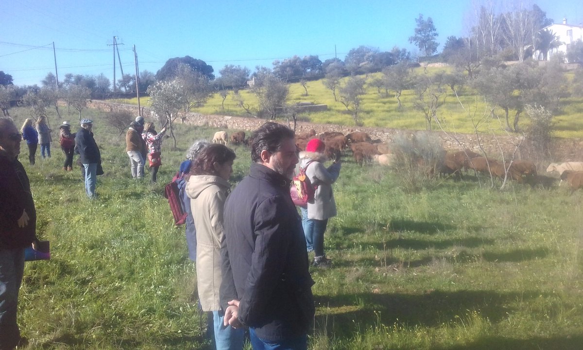 Gonzalo_Palomo's tweet photo. Hoy nos visitaron a #Tapandula #CáceresparaComérselo #Amapola y @merineandocc de @CooperACTYVA #empresarios y #consumidores de toda #Extremadura gracias a #proyectoEFES de @JuntaEx_Empresa @FundecytPCTEX https://t.co/9M3zuktUQe