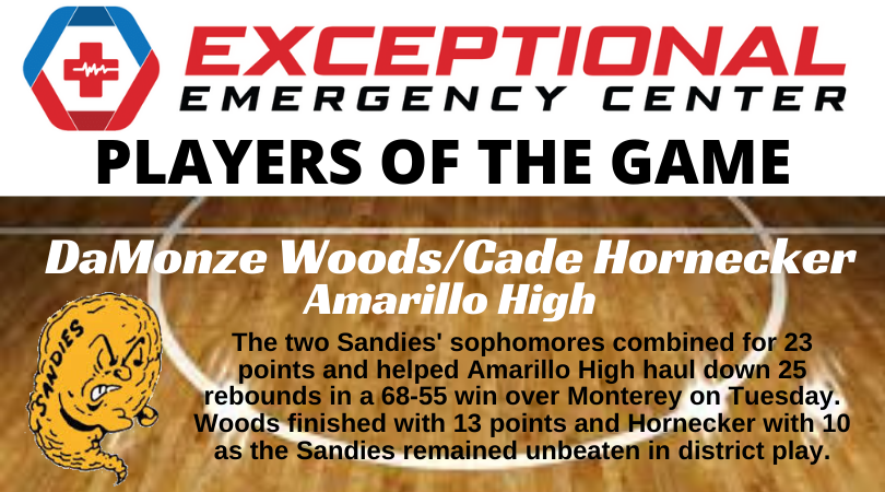MichaelDRoden's tweet photo. Congratulations to @damonze2 and @CadeHornecker for being named the @ExceptionalER24 Players of the Game in the @_AHSBASKETBALL win over Monterey on Tuesday! https://t.co/m0SFDqRr4F