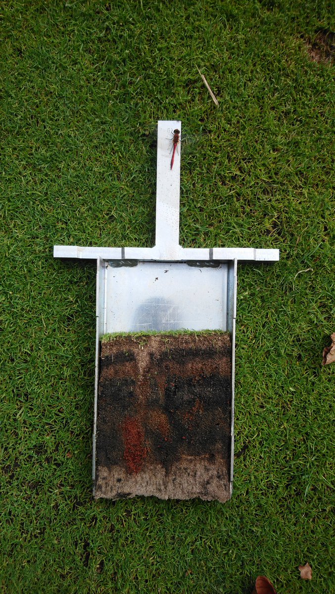 KristianWHU's tweet photo. Incredible transformation at this club, same green 20 months apart, the inclusion of @SymbioUK  biology + increased aeration has really helped clean up this profile which is now  providing a far better habitat for the finer species to take hold 👏 https://t.co/JxtNwLWjau