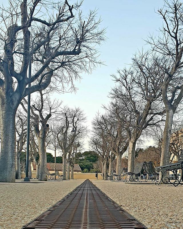 Best of #igerscagliari - vi capita mai di scoprire un luogo, uno scorcio, un angolo “nuovo” grazie alla foto di qualcuno? Ad esempio vi siete mai soffermati a osservare le ordinate geometrie di questo piccolo insieme di alberi allineati che si incontrano… ift.tt/386gKgU