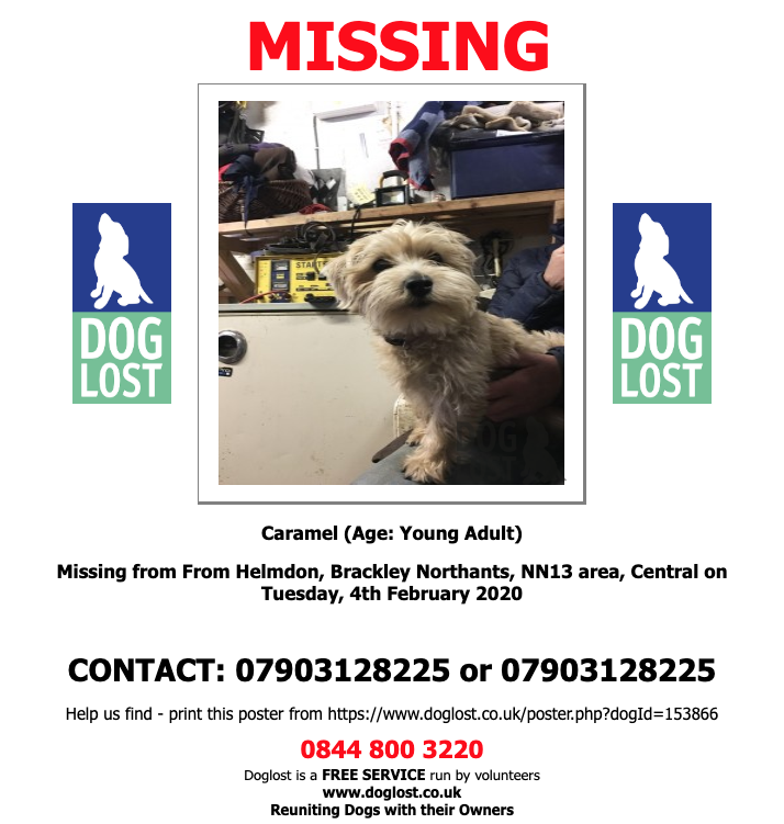 DogLostUK's tweet photo. https://t.co/jt1sXwNKjV
#LOST #DOG
#Missing from From #Helmdon #Brackley #Northants #NN13 Tuesday, 4th February 2020 #LostDog #ScanMe https://t.co/3Rj7mD5gZW @VetsGetScanning @SAMPAuk_ @lisaphipps15 @SarahP2311 https://t.co/pUfyTcrMzR