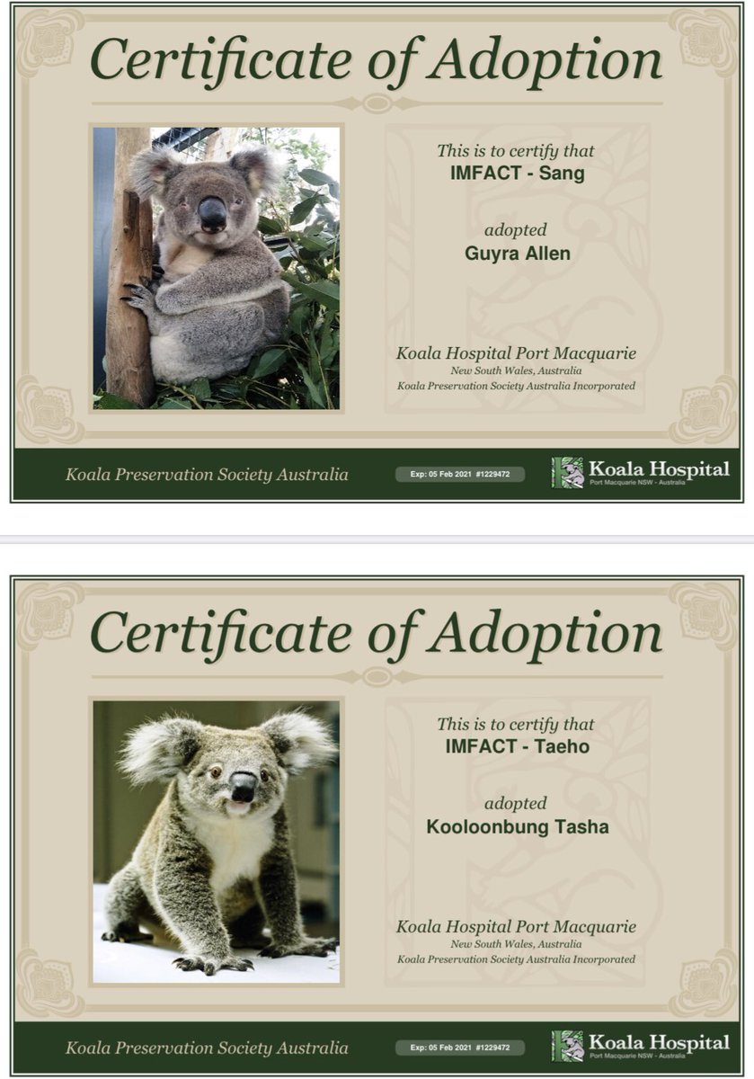 IFs_twt's tweet photo. [🍭IMFACT 4YRS ANNIV 
         CHARITY PROJECT🍭]

We chose 5 Koalas 🐨 that were in the worst condition &amp; most likely will never be able to be released in the wild ㅠㅠ We also donated to plant 7 koala food trees🌳 to help restore their habitat.
#IMFACT #임팩트 #Lollipop https://t.co/ApBFunylMD