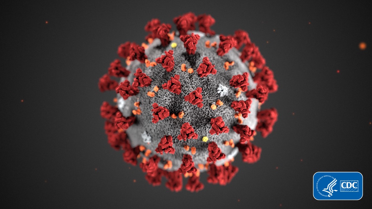 A digital rendering of the novel coronavirus from the Centers for Disease Control and Prevention.