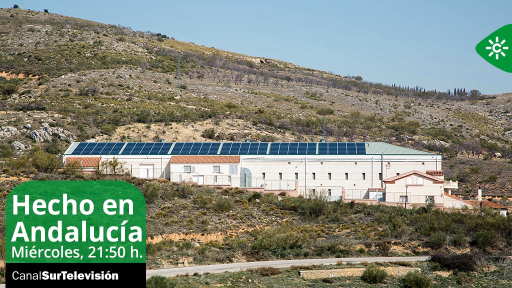 canalsur's tweet photo. ¿Sabías que Andalucía apuesta por la internacionalización y la transformación digital en la #IngenieríaVerde y la construcción de grandes #infraestructuras? Comienza #HechoEnAndalucía. @greening_ing @fundaciongazvi | ⌚️ 21:50 h. #CanalSurTV 📺  🔴👉🏼https://t.co/W0AeD6mGvz https://t.co/CSPYLJF4CW