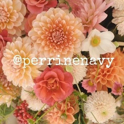 perrinenavy's tweet photo. • F L 🌸 W E R   P 🌸 W E R • https://t.co/N5cwxuseKZ
