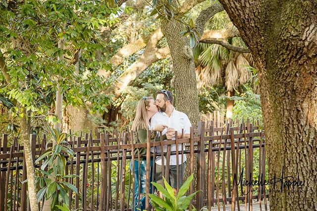 MichelleHapple's tweet photo. I got to spend the day with wild Animals! 🦍🦁🦓⁠
⁠
You read that right I spent the day with Megan &amp; Joseph at the Houston Zoo.⁠
⁠
See some more of the awesome photos we captured during their engagement session on their blog post! … https://t.co/R1d3veyQHv https://t.co/ITOaTxdnoh