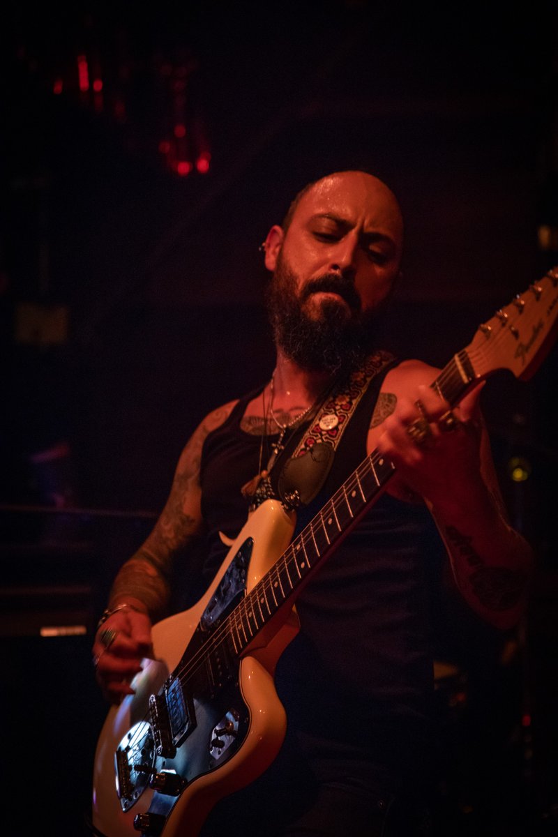 Hound The Wolves tweet media