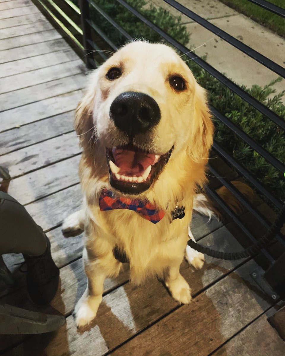 It’s #YappyHour! B.Y.O.D. (bring your own dog!) 🐶 #eatdrinkbesocial #patiopetfriendly 

📷: IG archiethegolden__