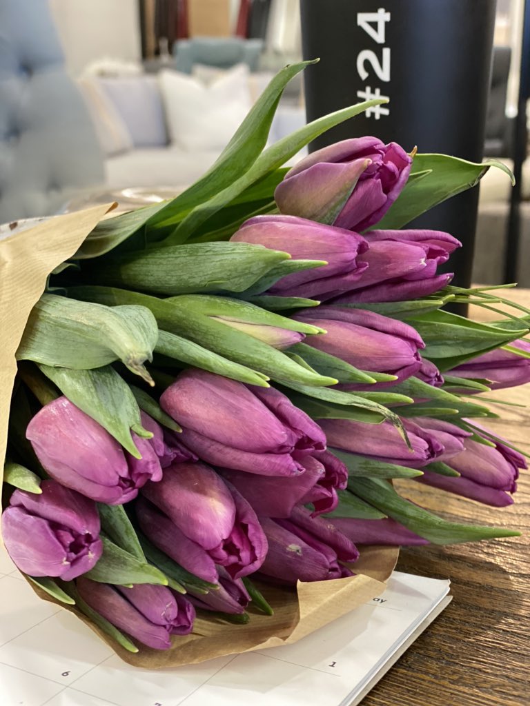 juliaOReilly1's tweet photo. Love my flowers 🌷🌷🌷 Thank you 😊 #WednesdayMotivation #tulips @cark_nadire 😘
#interiordesign #interiorspacesdesign https://t.co/h7FCd1fOMt