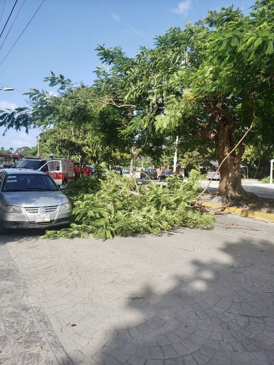 MaraLezama's tweet photo. ⚠️ @BomberosCancun 🚒 atiende un incidente sobre #AvNader. Tomen sus precauciones al conducir por la zona. @TransitoBJ #CancúnTierraDeTodos https://t.co/t4Eq7oncVl