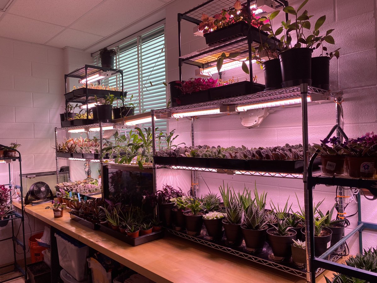 Mary Ellen Henderson Middle School tweet media