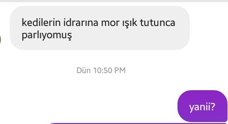 Bu bilgiyi almasaydım hayatım kararırdı dimi sjxjdjjd