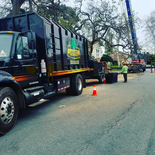 YourWayTreeServ's tweet photo. Working together side by side!
5-Star Rated
Tree Experts!
Free consultation!
☎️ (818) 888-9248
🌐 https://t.co/nHfk13hxTm
#treeremovallosangeles #treecareservices #treeremovalservices #treetrimminglosangeles #treeserviceslosangeles #residentialtreeserviceslosangeles https://t.co/h1bKxKlqyG