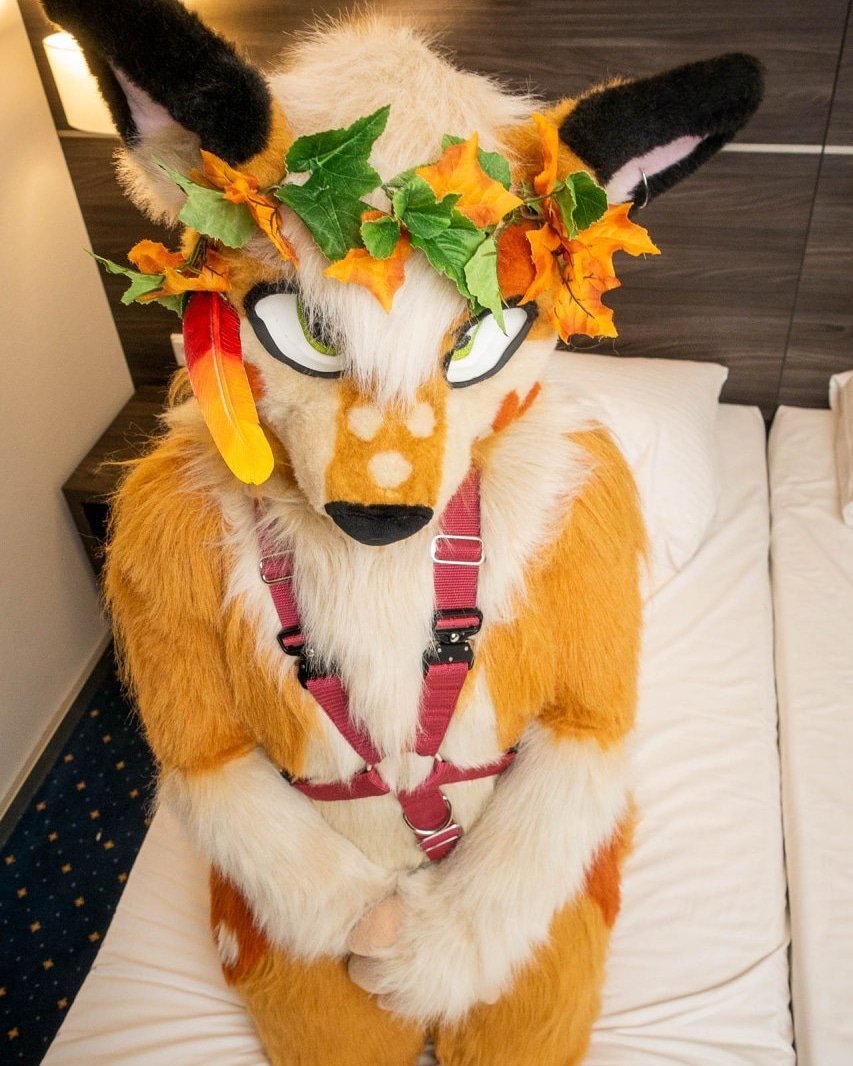 DTCFursuits's tweet photo. would you hug me ?
more pictures follow soon 
picture made by @aphinic_tiger 
thank you it's awesome 
#deer #deerfursuit #deerfurry #deerfursona #fursona #furry #fur #furries #rikathedeer #rikadeer #fursuitmaker #fursuiter #fursuitwalk #sillydeer #germansuitmaker #germanfurry https://t.co/0gRVNS913I