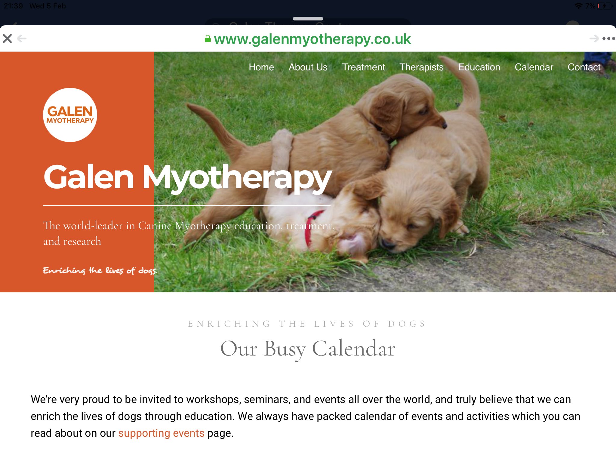 myotherapy dogs