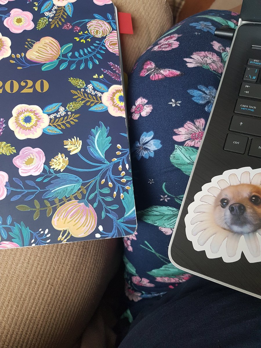 Sabina_Writer's tweet photo. Oh look my pj's & my planner match. Yes I'm aware it's almost 2pm & I'm still in my pj's. Leave me alone! I'm working on revisions for ZARA. #amrevising #writerlife #MuslimYA https://t.co/0ZvTFTJ8Vc