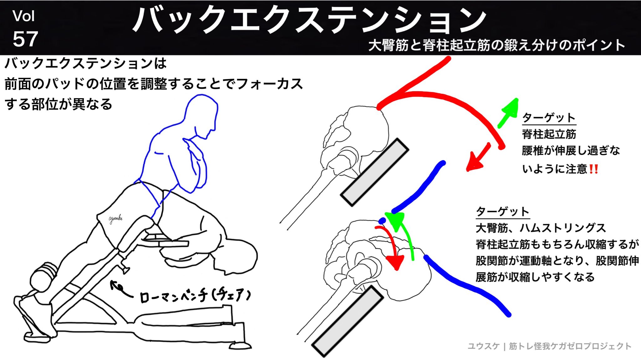 ট ইট র ユウスケ 筋トレ怪我ケガゼロプロジェクト 最新ノート バックエクステンション 女性トレーニーの使用頻度が高め ローマンベンチを使った種目 パッド位置により 上 脊柱起立筋が中心 下 大臀筋 ハムストリングスが中心 と刺激され ট ইট র ユウスケ 筋トレ怪我ケガゼロプロジェクト 最新ノート バックエクステンション 女性トレーニーの使用頻度が高め ローマンベンチを使った種目 パッド位置により 上 脊柱起立筋が中心 下 大臀筋 ハムストリングスが中心 と刺激され