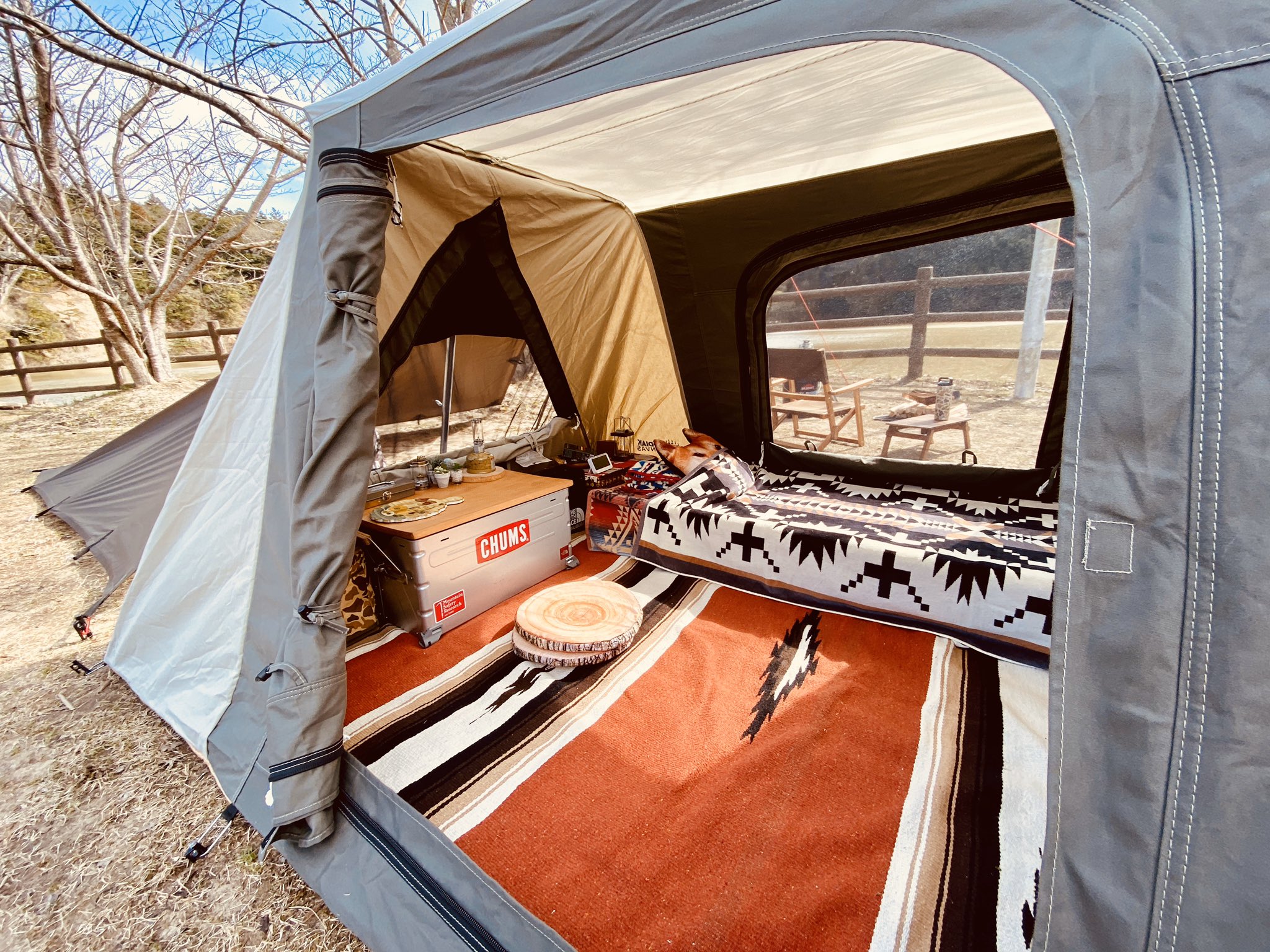 コディアックキャンバス2 www.thesciencebasement.org