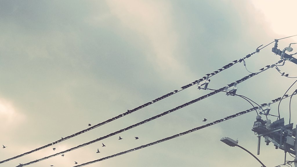 dharmabone's tweet image. 