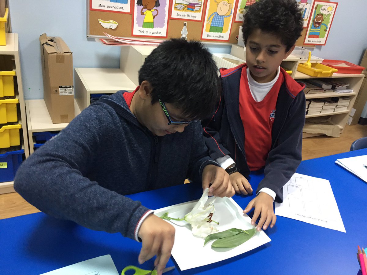 Grade 4 | CAS Dubai tweet media
