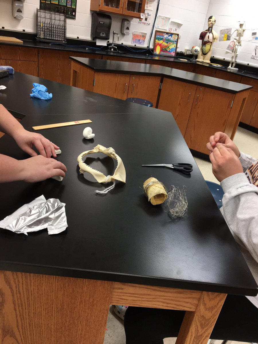 JWilkinsonBio's tweet photo. Today, my Biomedical students combined biology and engineering by constructing an apparatus that solves a problem. Their creative minds amaze me! #twolves7prideMHS https://t.co/gKmfC9U9uz