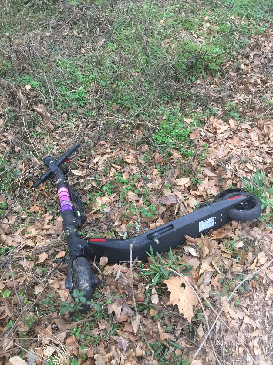 Survivor of the 2019 Atlanta Lyft Scooter Purge spotted.