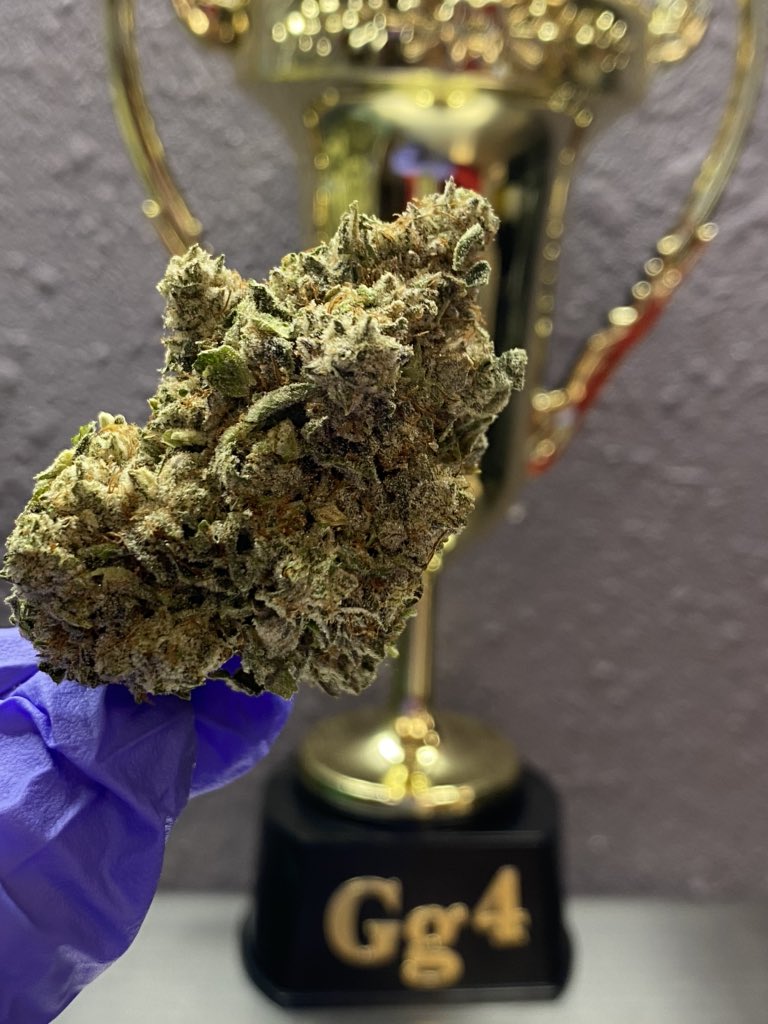 wildflowerbudco's tweet photo. Flash , no flash 🤪 we’ve got Cannabis Cups FIRST PLACE WINNER here @ wild flower 🤟🏾 come check us out https://t.co/5mLGf7Z4QW