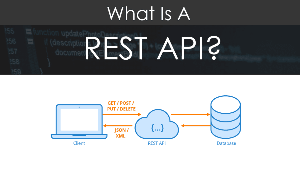 LarapulseT's tweet photo. Article 📋 Building RESTful API: all you need to know 
.
Read more in our blog: https://t.co/oMVKXe4vKy
_____________________
#api #rest #architecture #digitalliteracy #services #server #web #stateful #stateless #network #website #request https://t.co/YNOVALH9DV