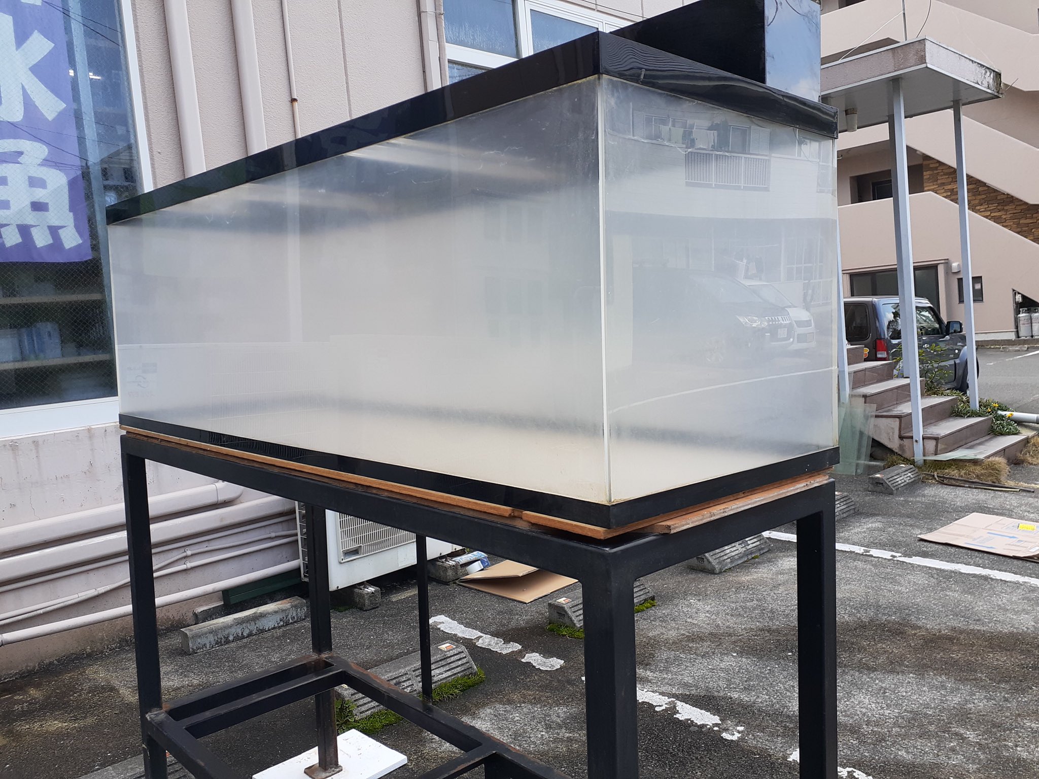 アクアペット 小倉 佐賀 長崎 大分 中古アクリル水槽 1800 600 600 アクアペット長崎 に入荷 セット内容 水槽 上部フィルター 水槽台 蛍光灯 ガラスフタ アクアペット 九州 熱帯魚 Aquarium Japan Kyushu Tropicalfish Nagasaki 中古