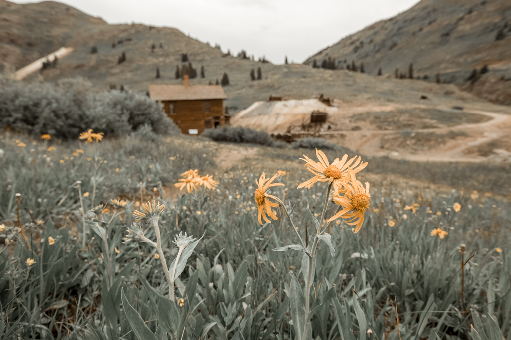 danner's tweet photo. At 11,200 feet, exposed to high winds, avalanches and brutal low temperatures, the ghost town of Animas Forks is not a place for those of a delicate nature. To learn more about this rugged and desolate area, head over to https://t.co/bFLCjWo3UC. #readmeta https://t.co/VQlL4SHhat