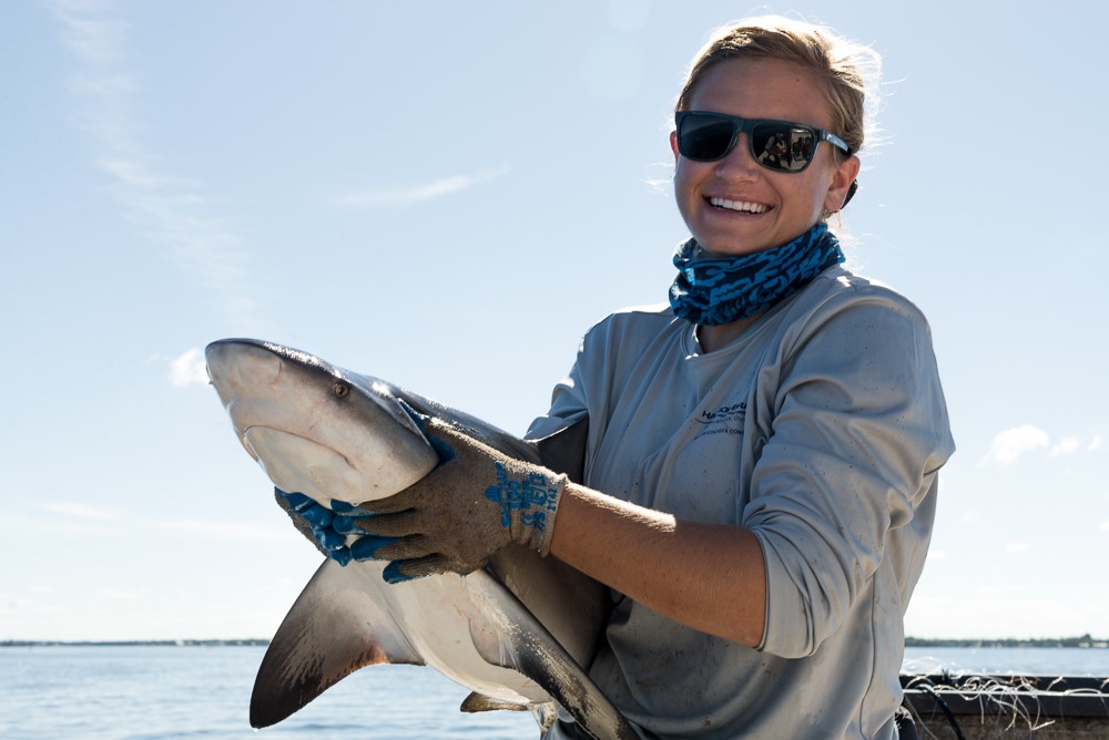 @ElasmoGrace holds up a bull shark, the most common species caught on bottom longlines in the IRL
